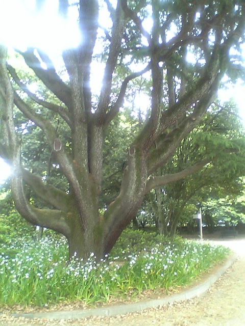 d0000607_16572843.jpg