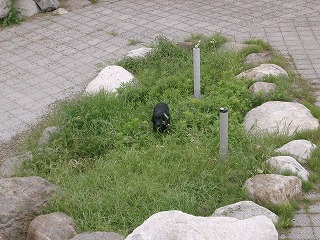 d0063615_010031.jpg