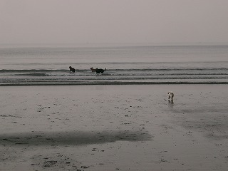 d0063615_084811.jpg