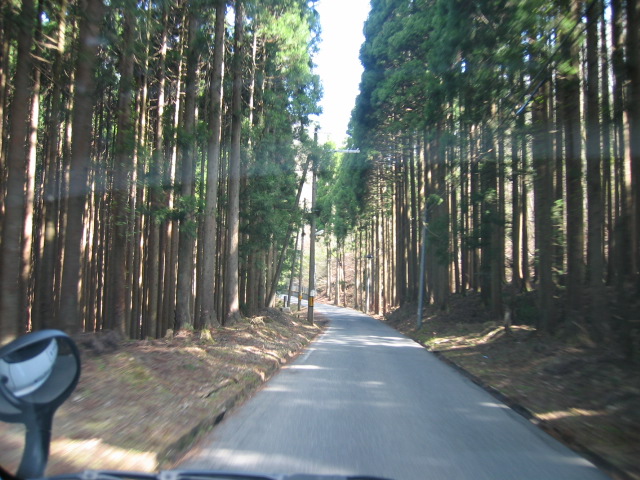 f0017530_061359.jpg