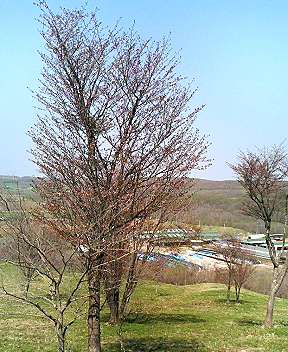 b0047734_2292075.jpg