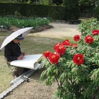 d0033734_11152233.jpg