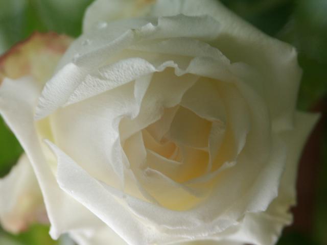 b0075541_3565396.jpg