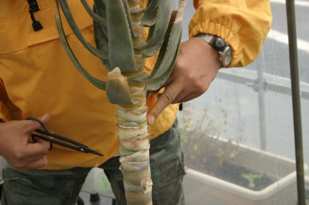 f0025244_0391995.jpg