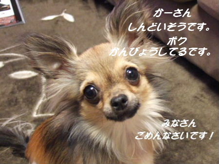 e0088654_15334213.jpg
