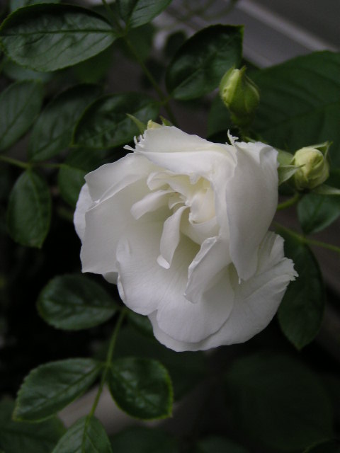 f0074659_22175028.jpg