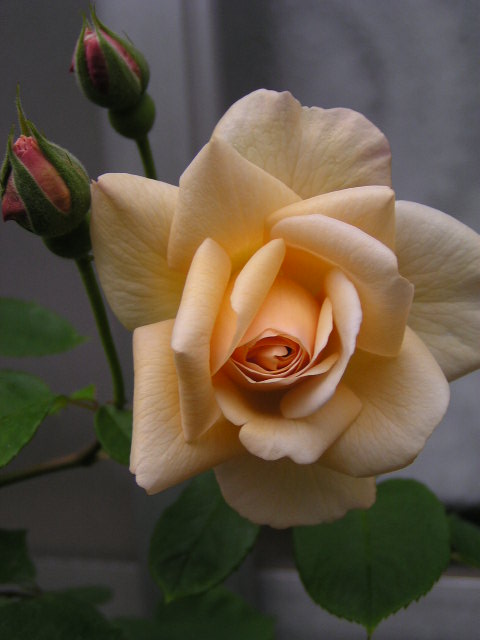 f0074659_22205010.jpg
