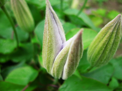 b0015260_1446332.jpg