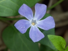 b0044663_13315331.jpg