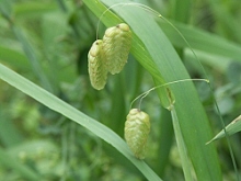 b0044663_13333713.jpg
