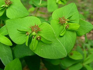 b0053765_192418.jpg