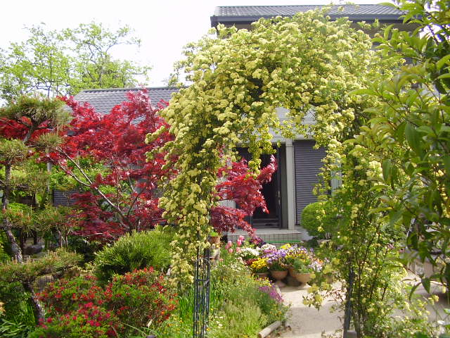 d0001070_16504351.jpg