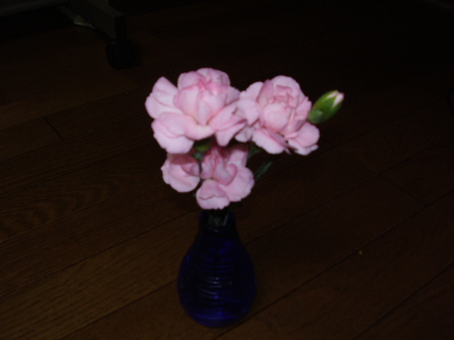 d0001070_2047259.jpg