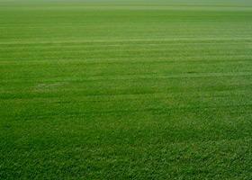 f0101776_220342.jpg