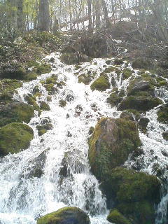 a0053783_2144129.jpg
