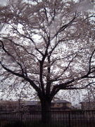 e0061892_22443667.jpg