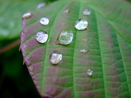 c0044199_23474243.jpg