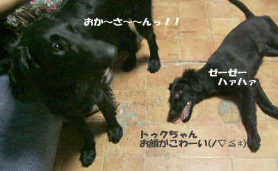 c0050400_1218381.jpg