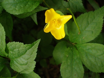 e0083212_17491886.jpg