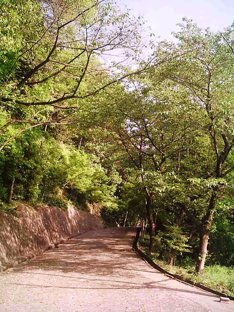f0079723_17333984.jpg