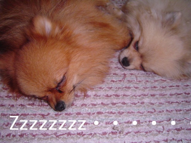 f0012924_22384036.jpg