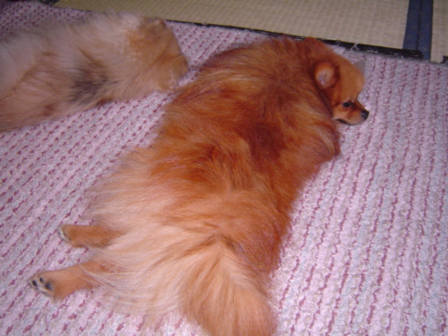 f0012924_22403224.jpg