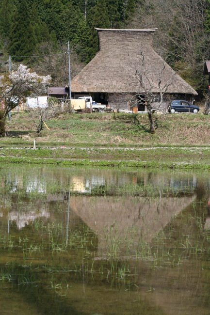 f0017530_22105016.jpg