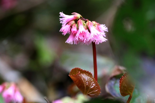 f0017530_22123244.jpg