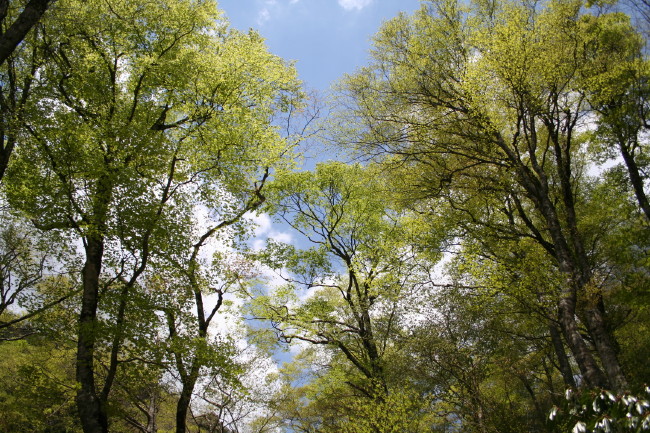 f0017530_22134083.jpg