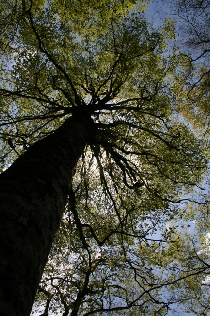 f0017530_22143358.jpg