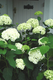 f0029536_1311135.jpg