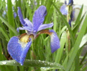 c0046340_1043942.jpg
