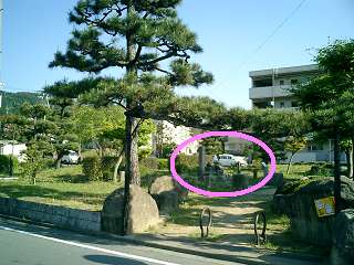 c0057946_20101789.jpg