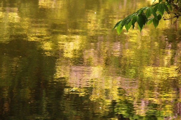 e0009147_16251418.jpg