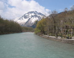 d0031853_159559.jpg