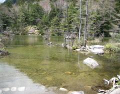 d0031853_215125.jpg