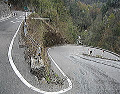 d0031853_2211828.jpg