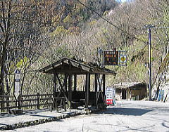 d0031853_2331528.jpg