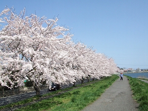 c0048667_16145640.jpg