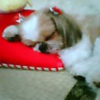 e0040602_0302126.jpg