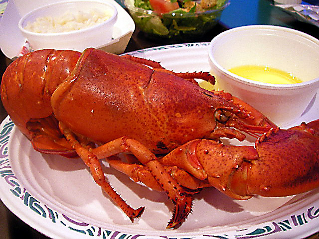 e0061902_1043517.jpg
