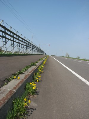 f0020302_1602581.jpg