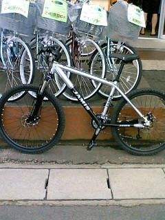 a0028803_2243358.jpg