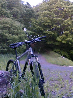 a0028803_224449100.jpg