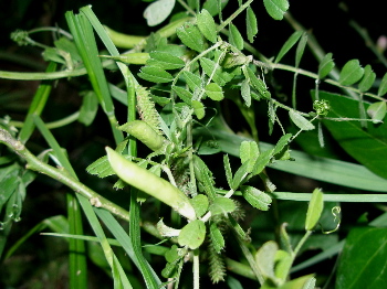 c0036203_1917729.jpg