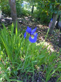 f0052603_21121412.jpg