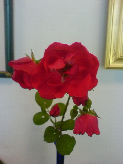 f0052603_2202537.jpg