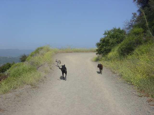 c0048504_236145.jpg