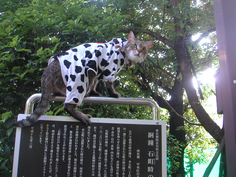 e0031605_18462083.jpg