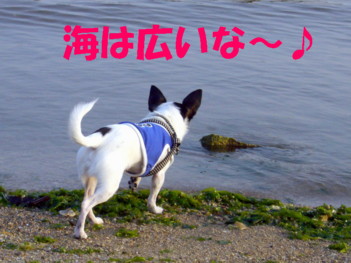 e0032508_20271342.jpg